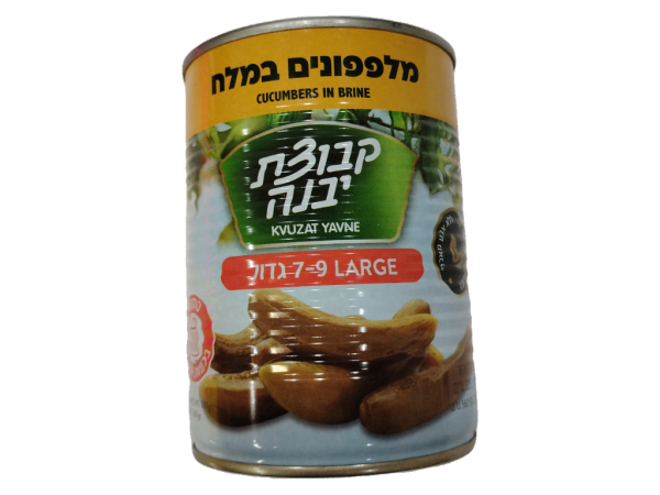 Kvuzat Yavne Cucumber In Brine Large 7-9