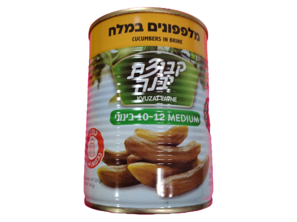 Kvutzat Yavne Cucumber in Brine M 10-12