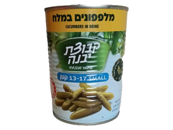 Kvuzat Pickled Cucumbers In Brine, 19oz