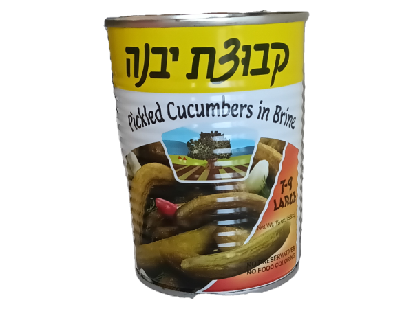 Kvuzat Yavne Large Pickled Cucumbers In Brine, 19oz