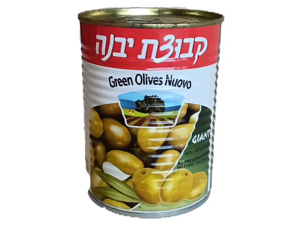 Kvuzat Yavne Giant Green Olives Nuovo, 19 Oz