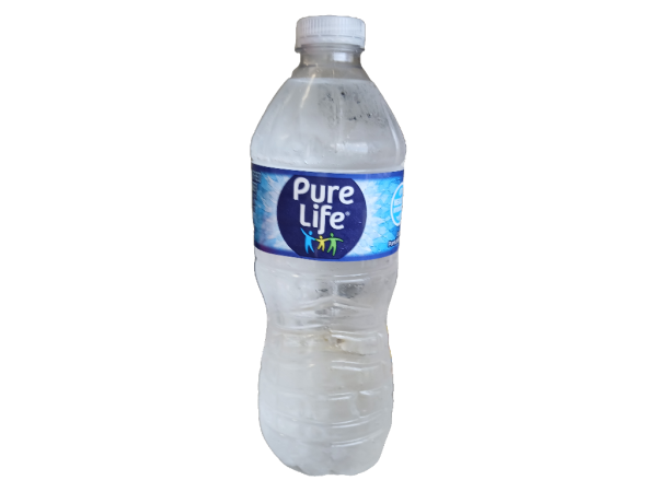 Pure Life Water Bottle 16.9oz