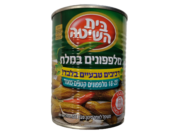Bait Hashita 18-25