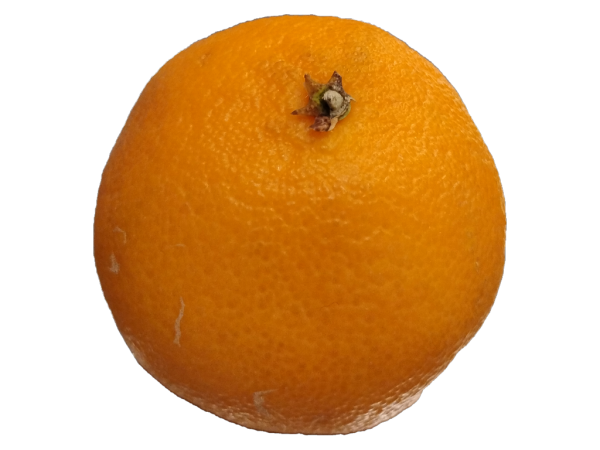 Mandarins