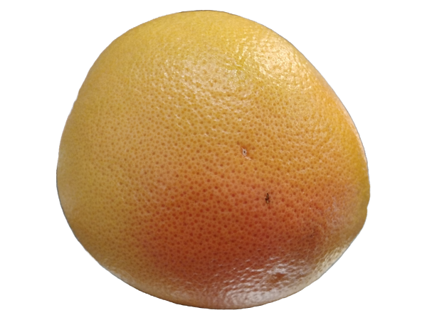 Grapefruit ea