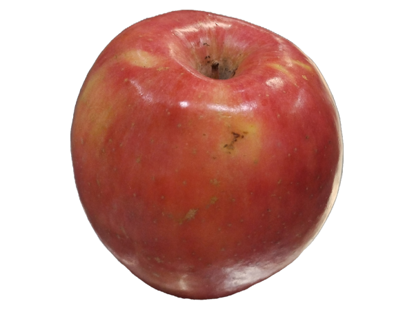 Fuji Apple