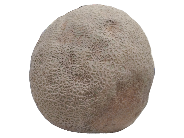 Cantaloupe