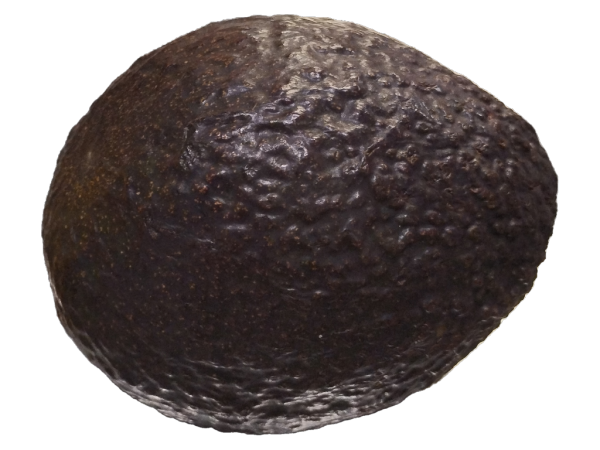 Avocado ea