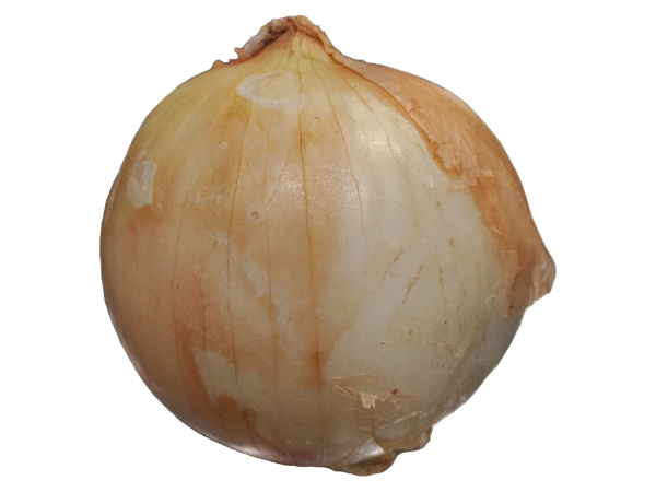 Vidalia Onion