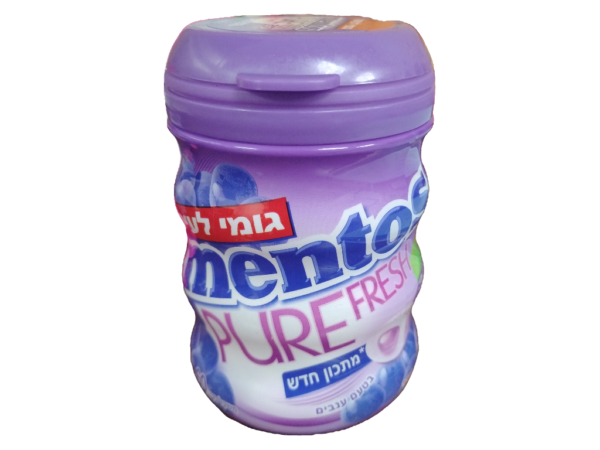 Mentos Gum Pf Grape 30pc